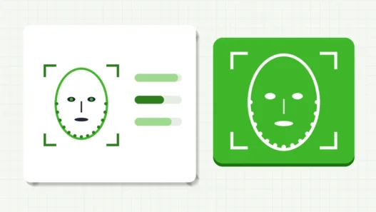 Face outline with landmarks next to three measurement bars