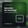 Spacebar not working